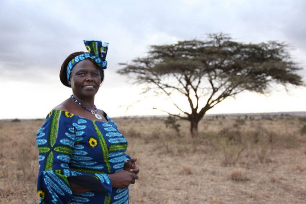 Sciplanet Wangari Maathai The Green Belt Movement