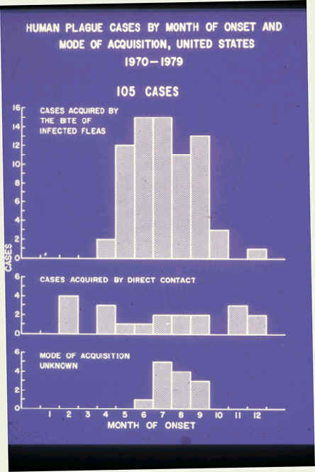 wpe5.jpg (28263 bytes)