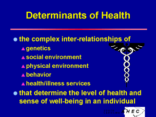 Multi-level Factors of Physical Health and Well-being in the