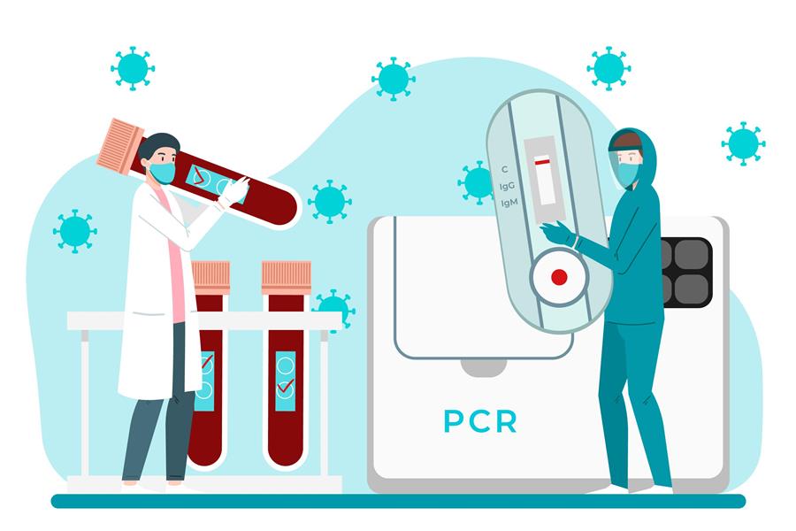 SCIplanet - Rare Bacteria Makes PCR Technology Possible