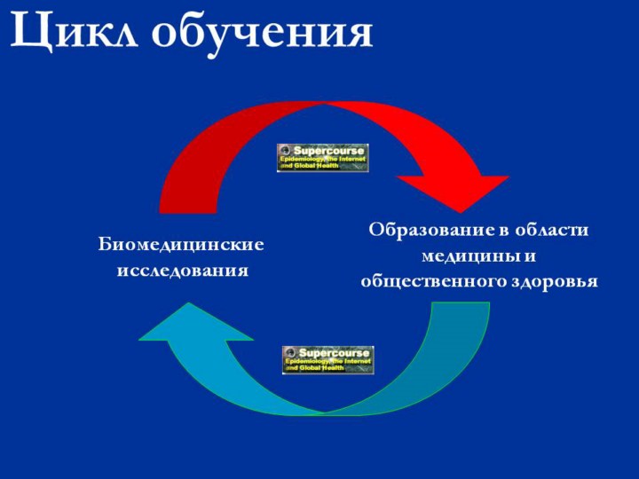 Образование циклов. Цикл обучения. Циклы образования. Цикличность обучения. Цикл тренинга.