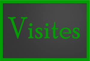 Visite de la&nbsp;D&eacute;l&eacute;gation Paris Avenir (VMF)