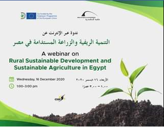 A webinar on Rural Sustainable Development and Sustainable Agriculture in Egypt