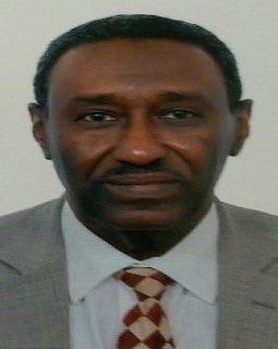 Prof. Abdin Salih 