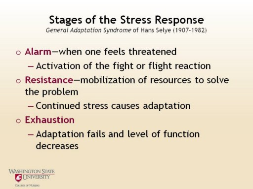 Hormones and Stress